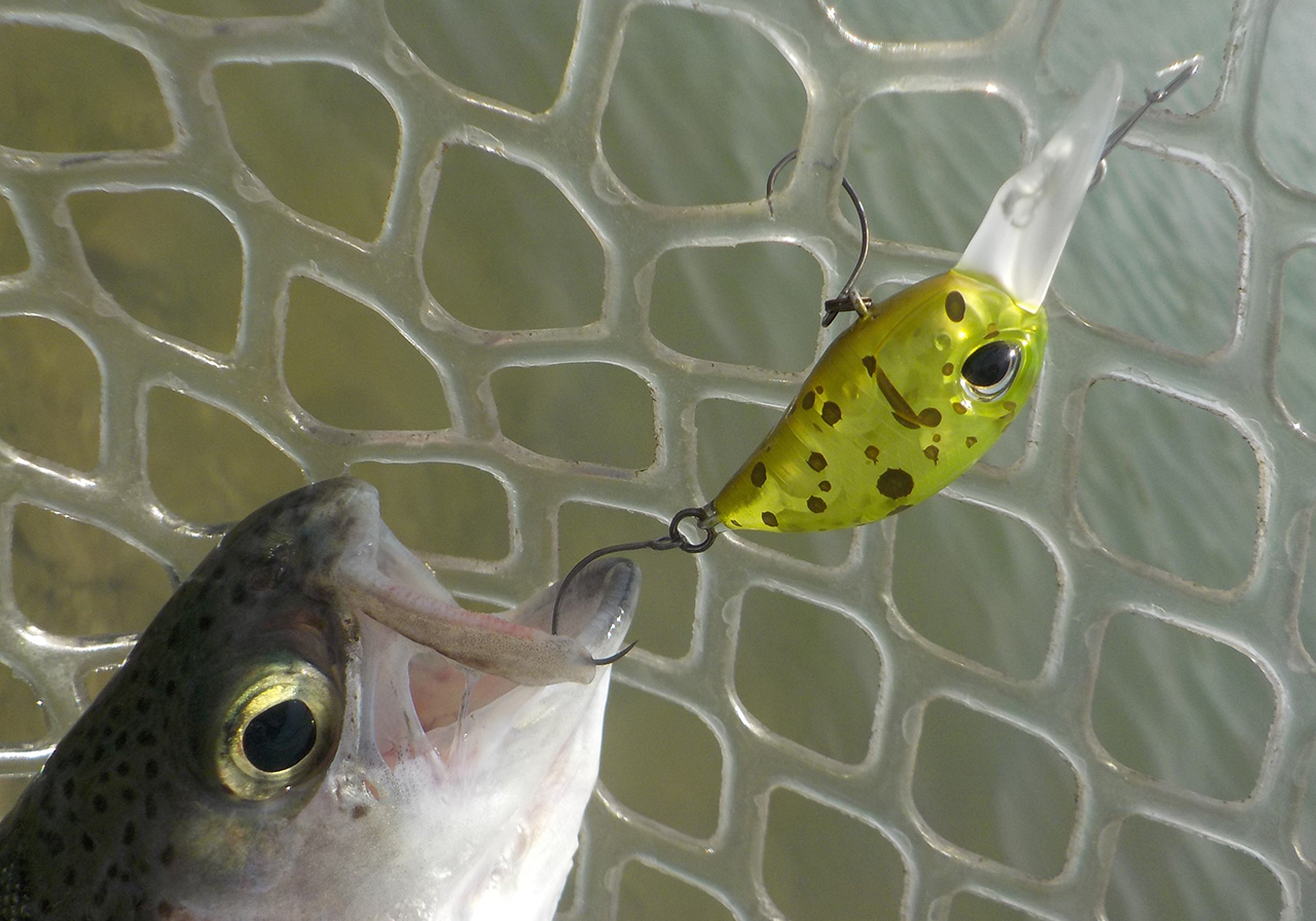 Haze（ヘイズ フローティング） | HARDBAITS | ValkeIN ヴァルケイン