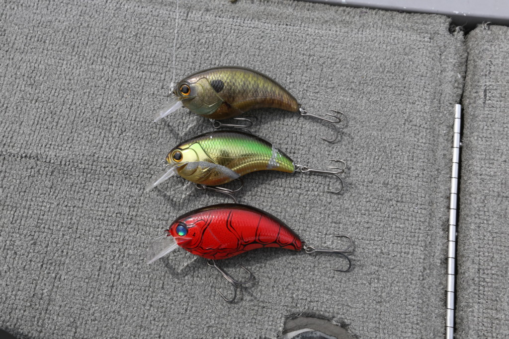 キムケン流「南湖ウイード攻略」セレクトその2 | 釣りの総合動画