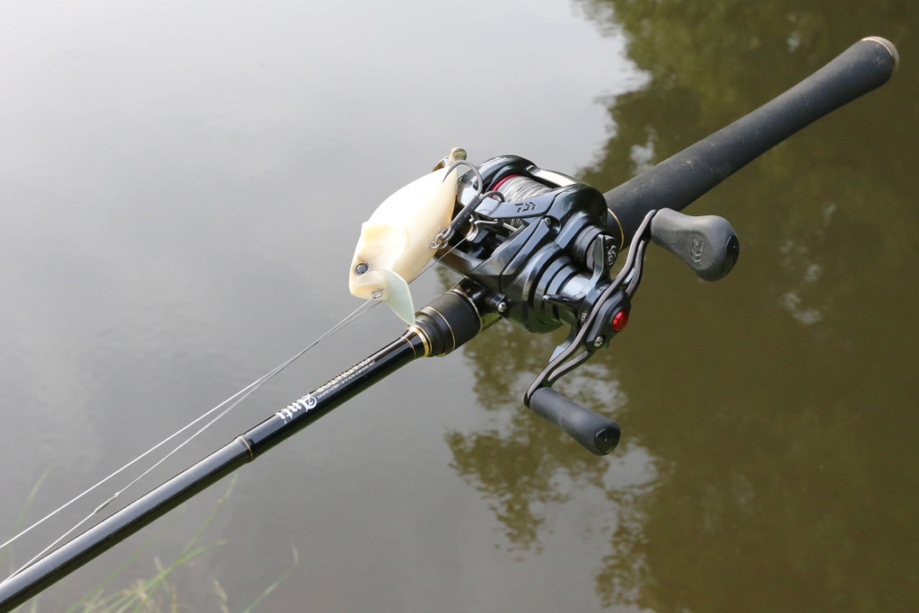 キングヘビー、バルトロヒート2 キングヘビー、バルトロヒート2 - メルカリ