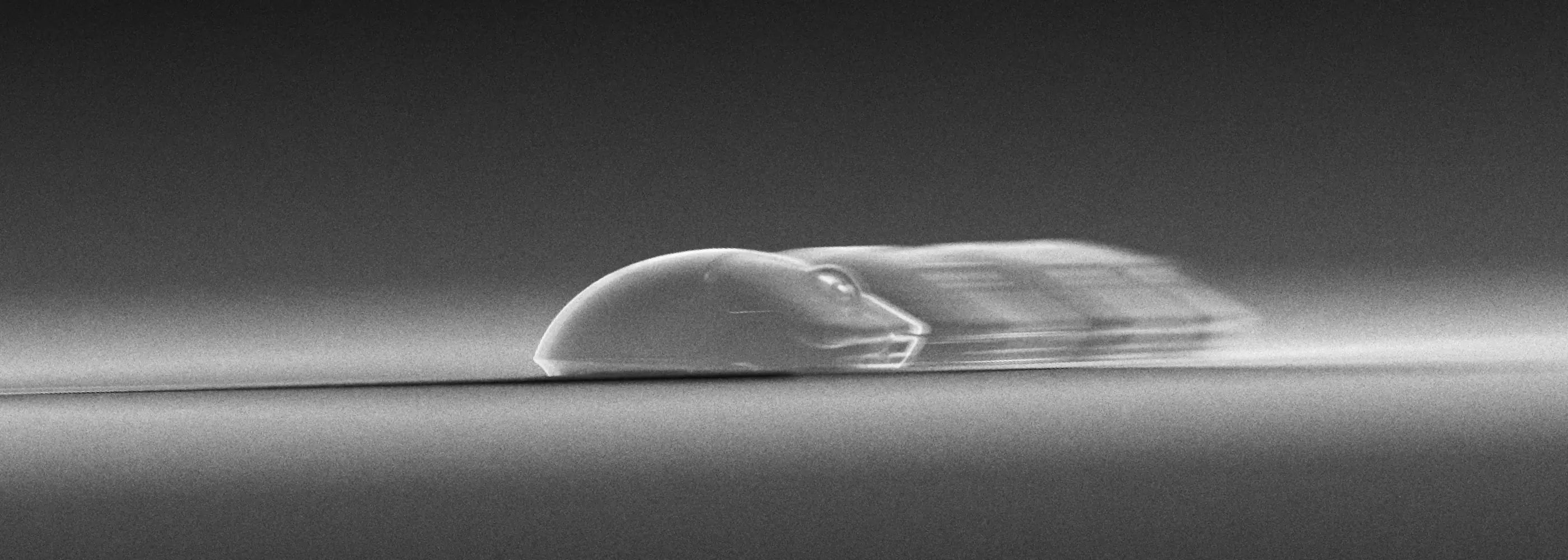 WALLHACK SP-005（ホワイト） | WALLHACK