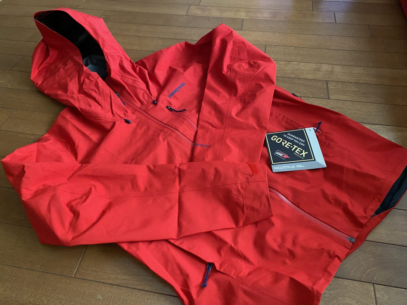 パタゴニアのゴアテックス「カルサイトジャケット」をレビュー | WATOKU