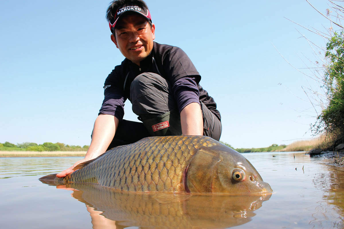 春からの鯉釣り入門 ダンゴとボイリーの釣りを解説！ 前編 | つり人