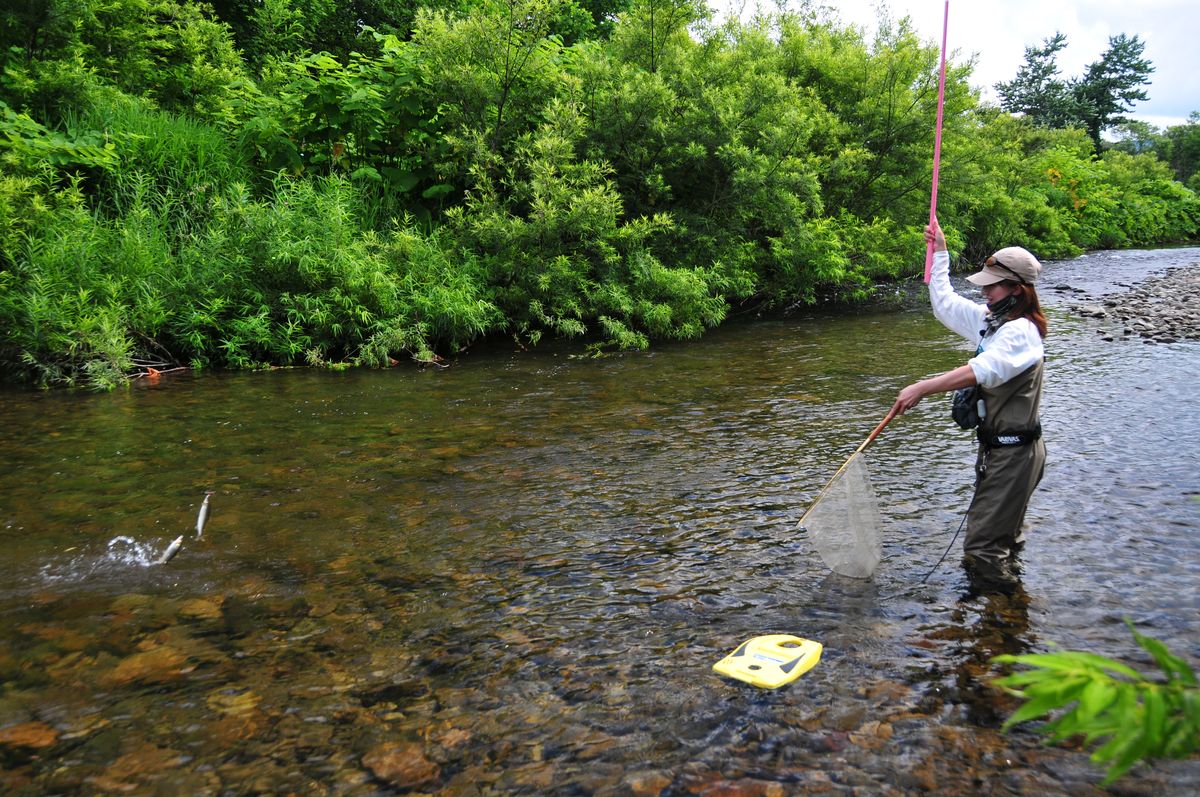 おしゃれな釣り竿 川釣り 1点物 鮎釣り おしゃれな釣り竿 川釣り 1点物