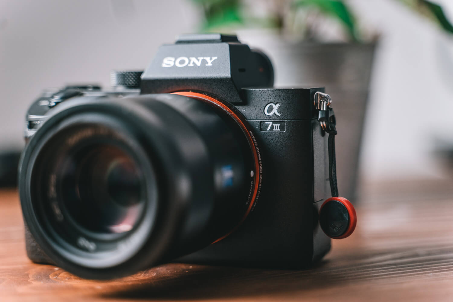 作例あり】SONYのミラーレス一眼 α7III レビュー ！α7IIから進化した点