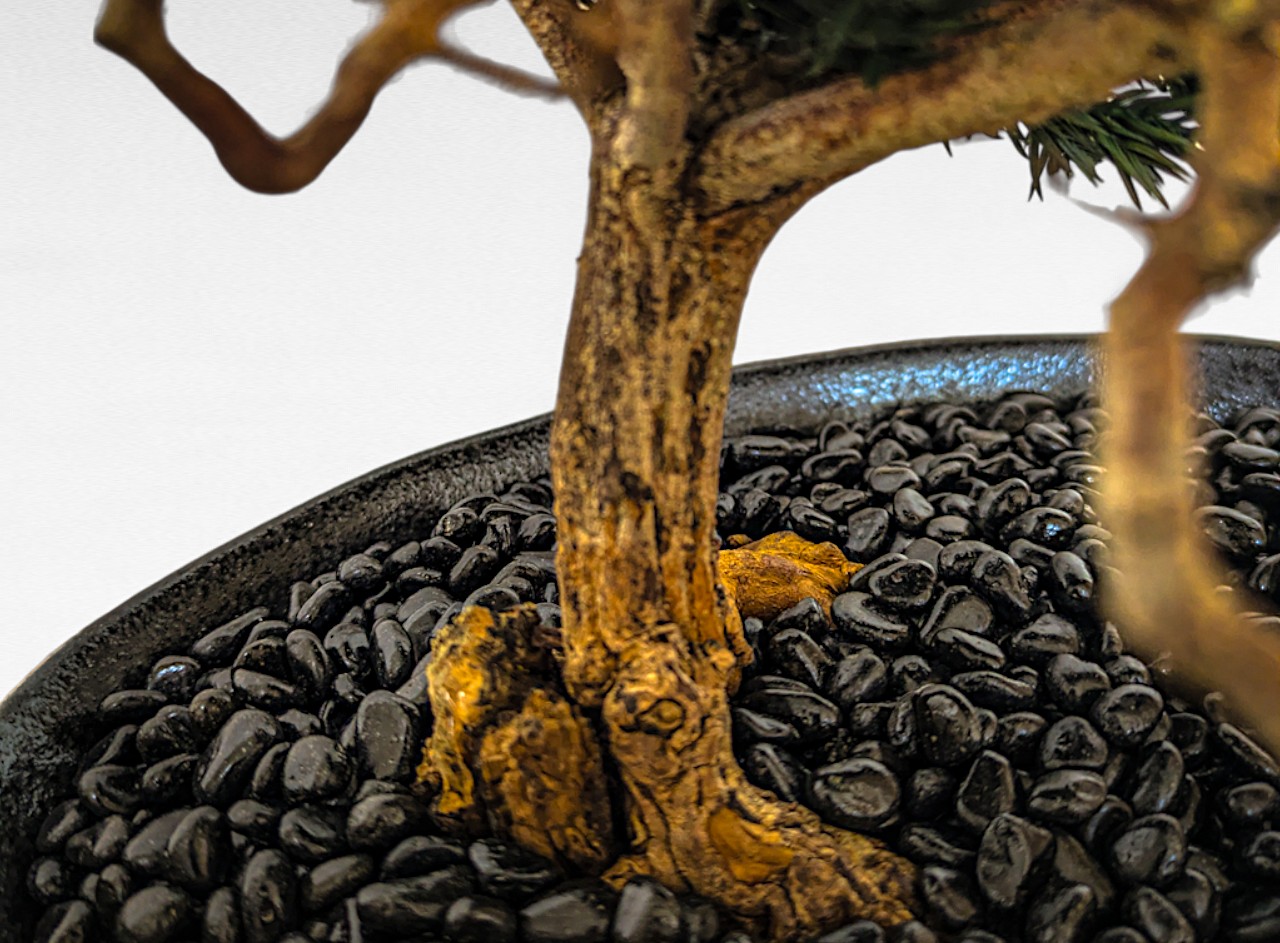 WITHERS BONSAI】盆栽アート”枯れた盆栽の再生” S24213 – 再生盆栽