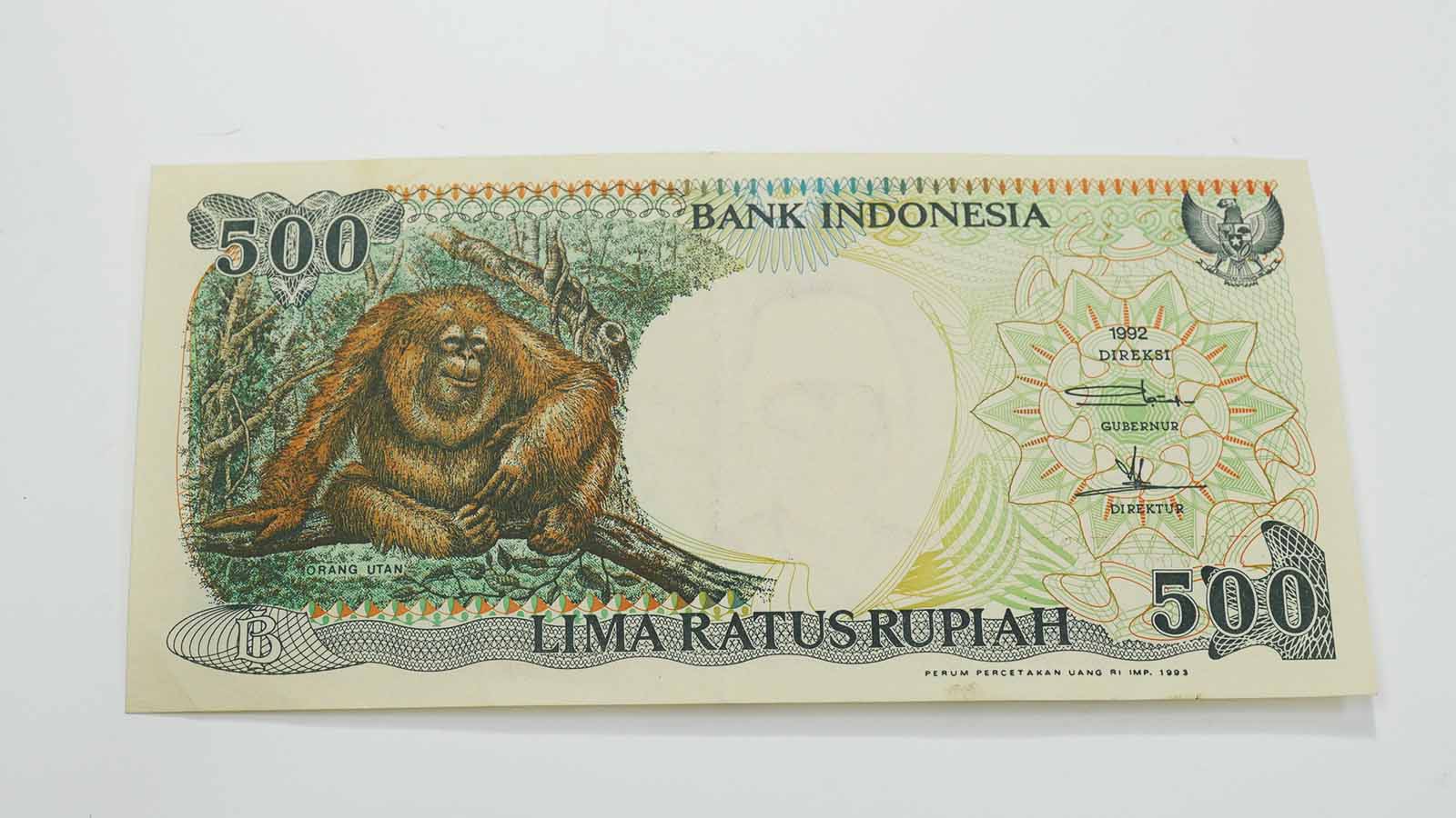 パラゴムノキ |インドネシア 100ルピア紙幣|11-木とデザイン|木の情報