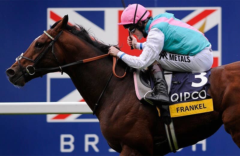 ロマンチックウォリアー（Romantic Warrior） | 競馬データベース