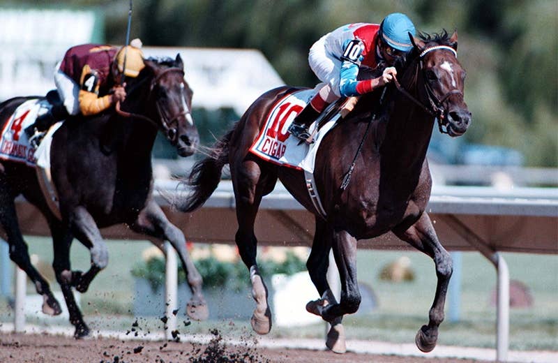 シガー（Cigar） | 競馬データベース | JRA-VAN World - 海外競馬情報