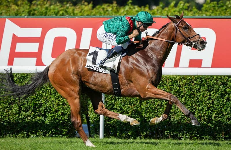 カランダガン（Calandagan） | 競馬データベース | JRA-VAN World