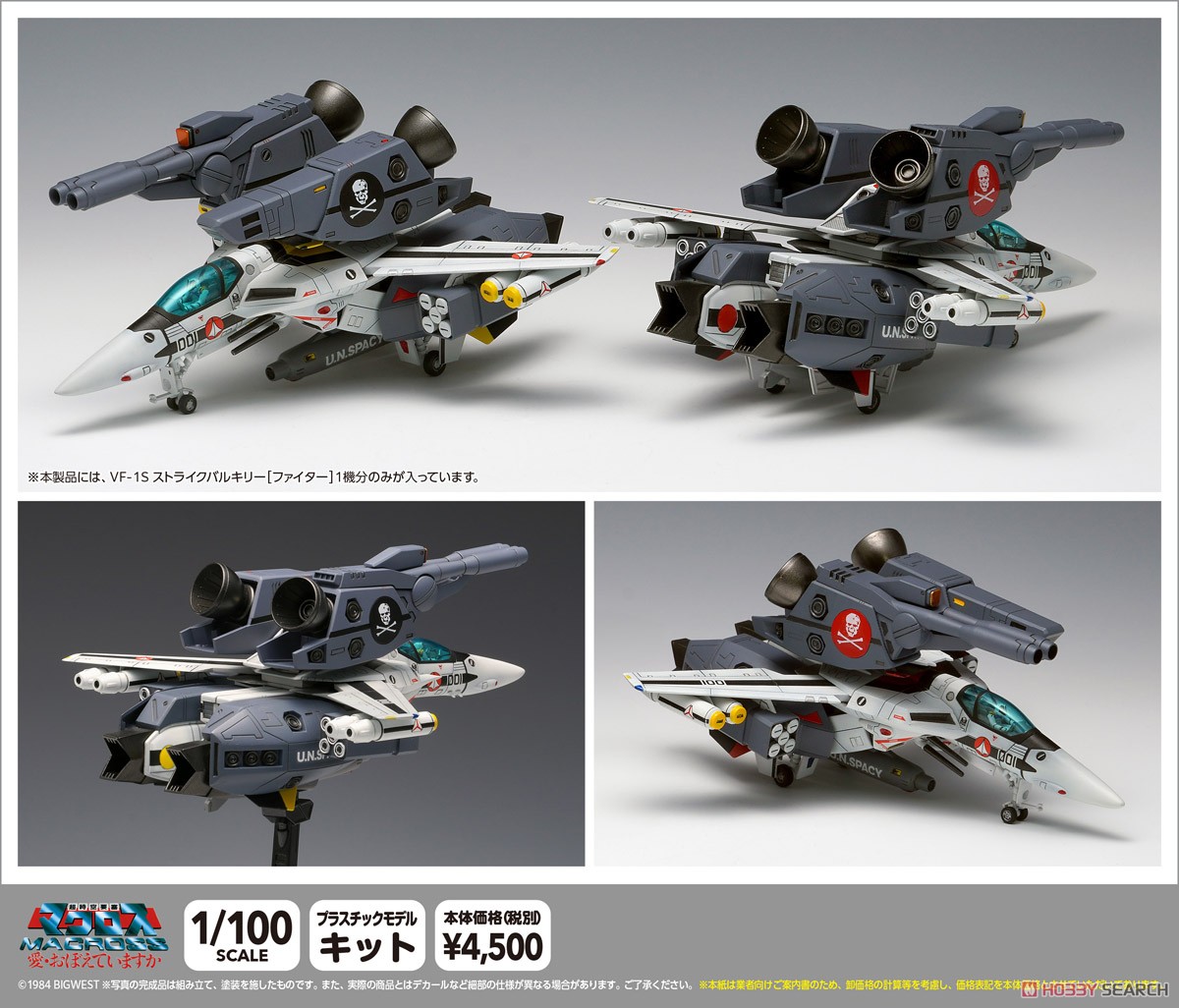 VF-1S Strike Valkyrie [Fighter] Hikaru Ichijyo, Roy Focker