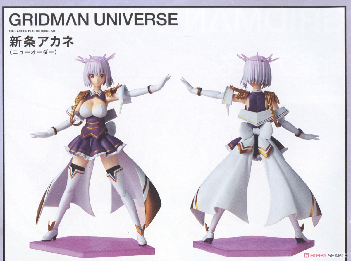 Akane Shinjo (New Order) Articulated Plastic Model (Plastic model