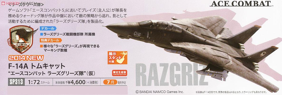 F-14A トムキャット `エースコンバット ラーズグリーズ隊` (プラモデル