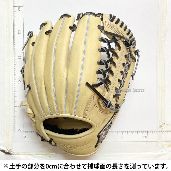 野球 グローブ 軟式 ハイゴールド 軟式グローブ グラブ 軟式用 少年用