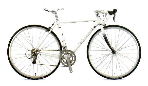 RALEIGH 2014 ROADBIKE・ROADRACER CARLTON-F 105(ラレー 2014年モデル