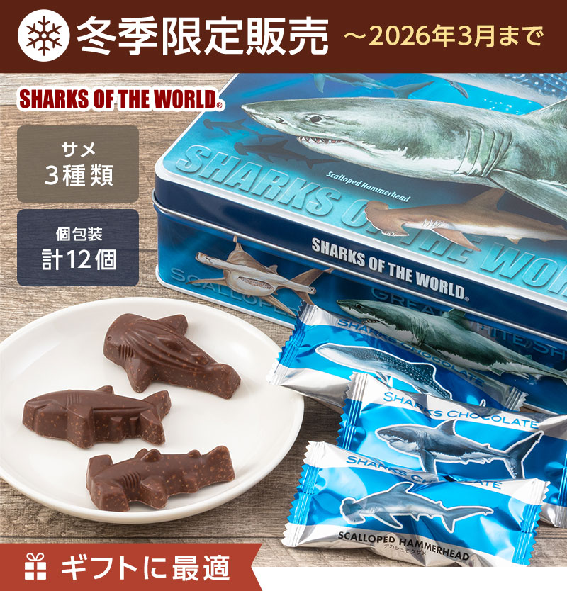 シャークス チョコレート（サメ 小麦パフ入 12個）│動物 カロラータ