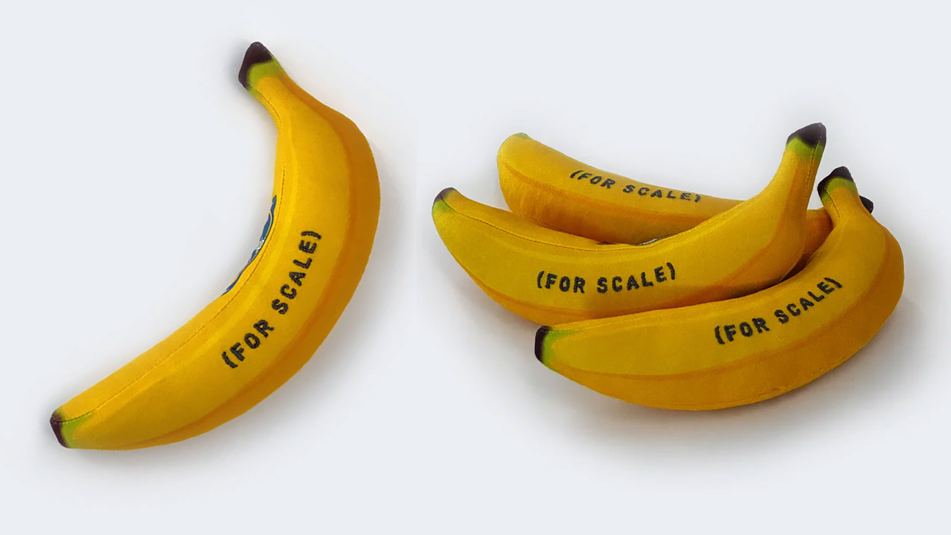 It's bananas': Toy fruit becomes first zero-g indicator to fly on