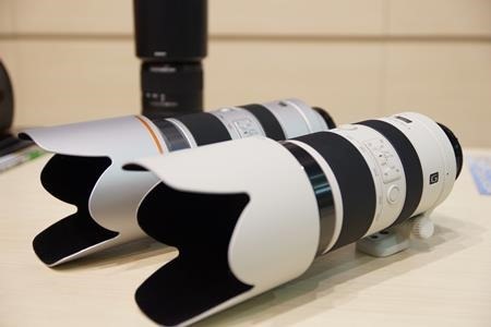 Gレンズ「SAL70400G2（70-400mm）」で、鳥とわんこを撮影してみたっ