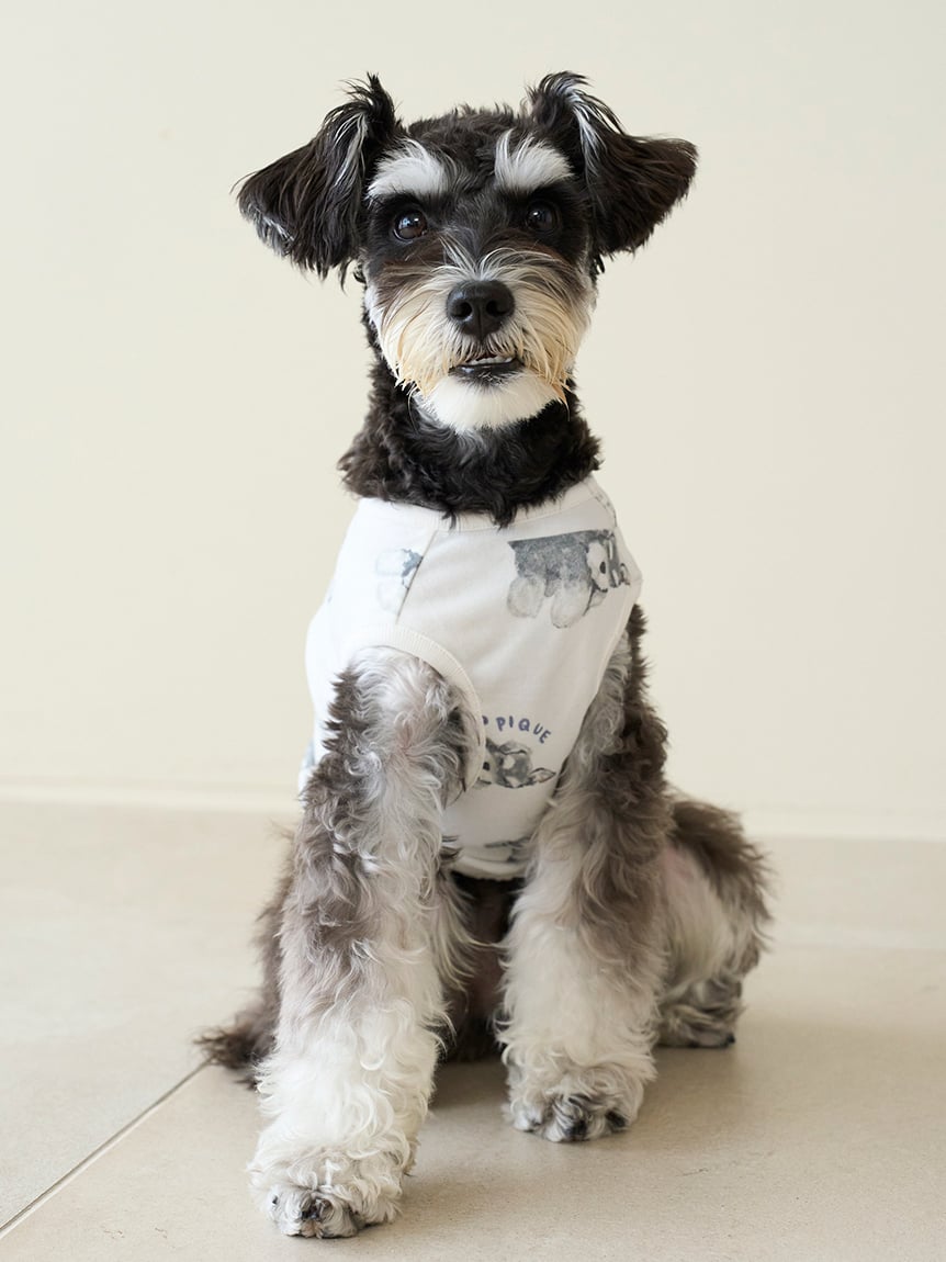 gelato pique（ジェラートピケ）【CAT&DOG】【販路限定商品