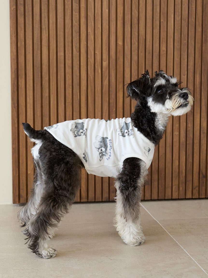 gelato pique（ジェラートピケ）【CAT&DOG】【販路限定商品