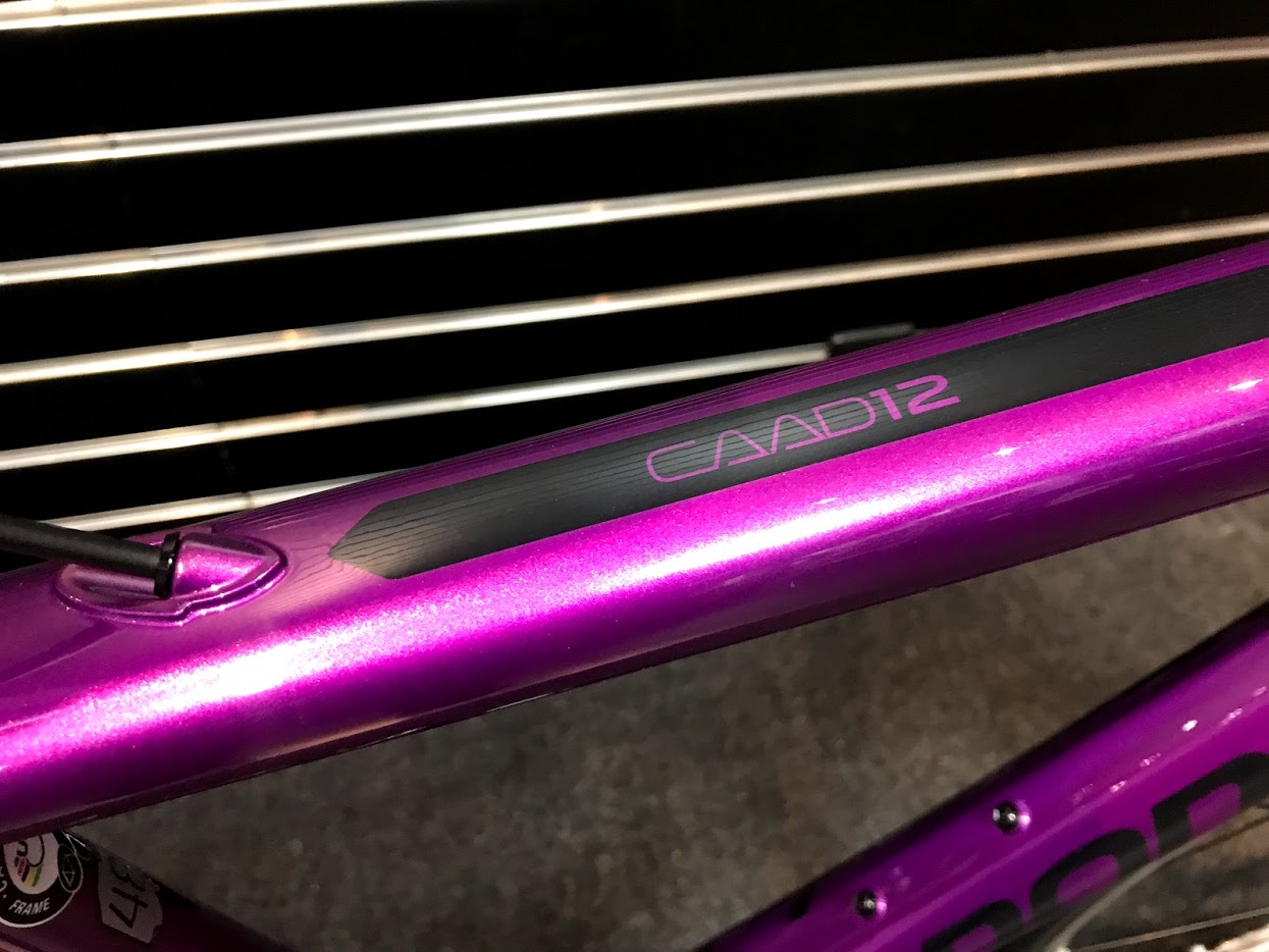 2019 CAAD12 「Deep Purple」 | キャノンデール横浜