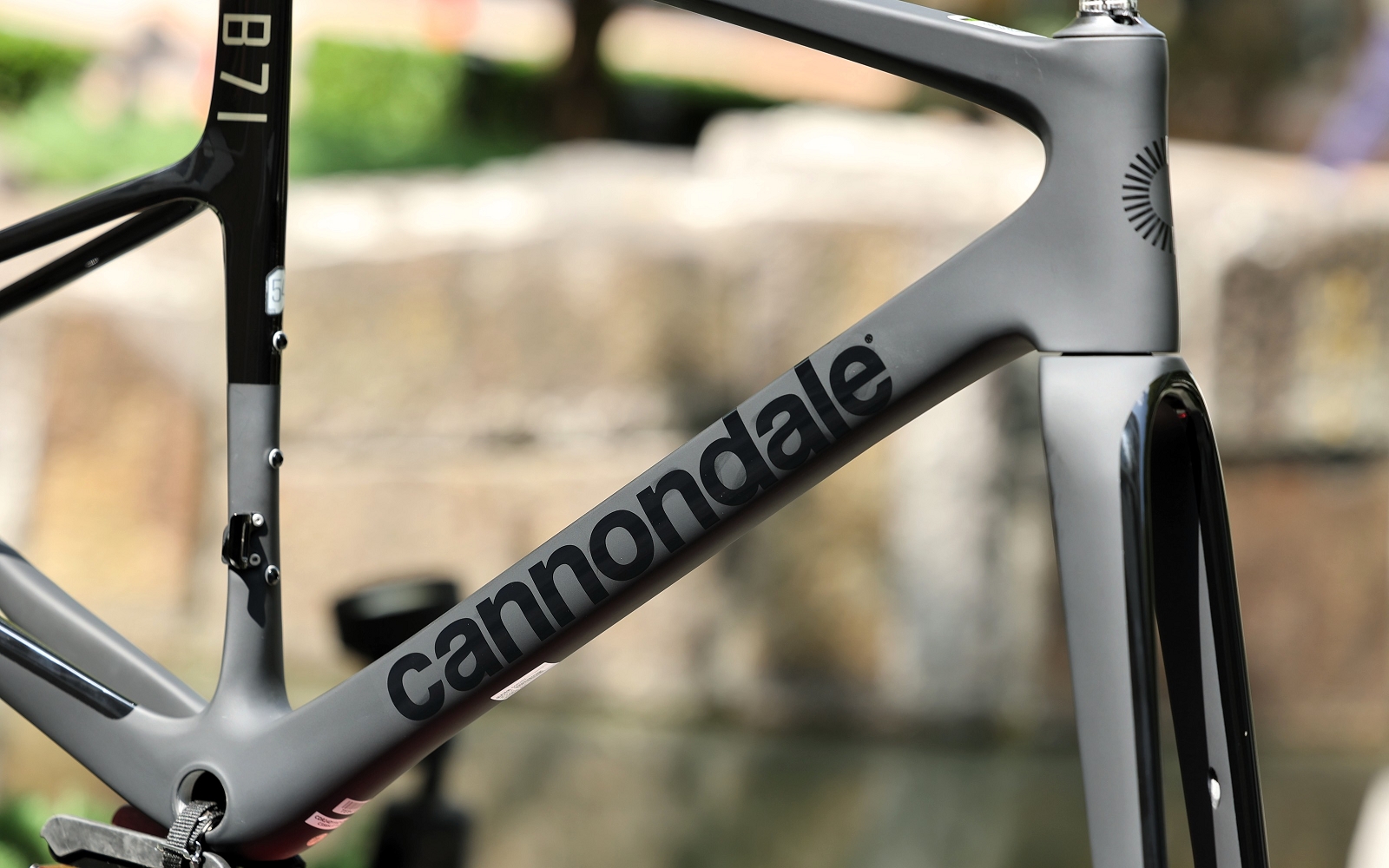 9月, 2025 | キャノンデール横浜