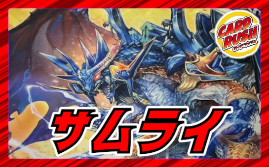 状態A-〕スリーブ『[EXカードプロテクト]無双竜機ボルバルザークVer