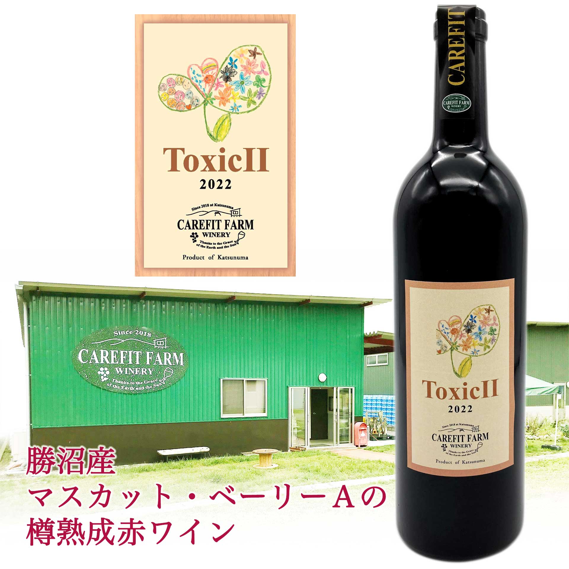 ToxicII 2022｜公益財団法人 日本ケアフィット共育機構