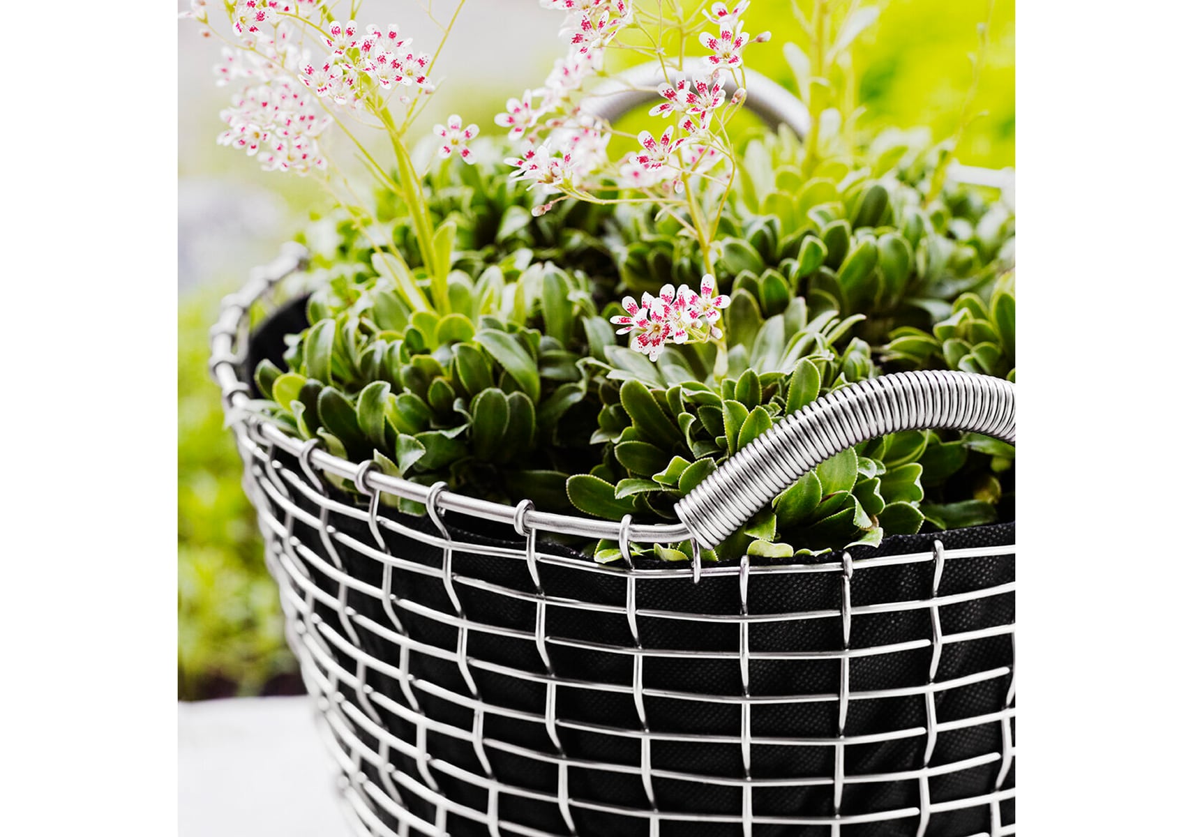 Korbo - コルボ ワイヤーバスケット CLASSIC 24 Stainless steel