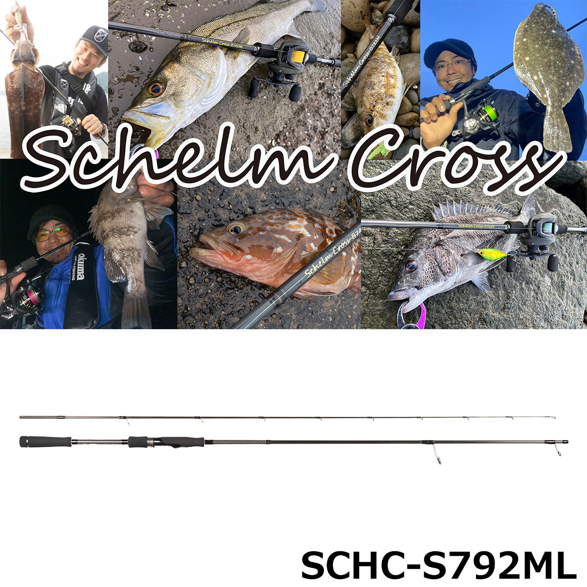 ゼニス(ZENITH) シュレム クロス(Schelm Cross) SCHC-S792ML☆セール