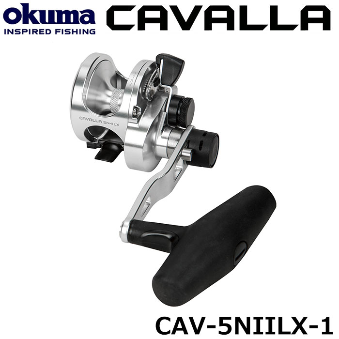 ダイワ(DAIWA) 15ソルティガ 15H ☆セール特別割引品 DAIWA(ダイワ