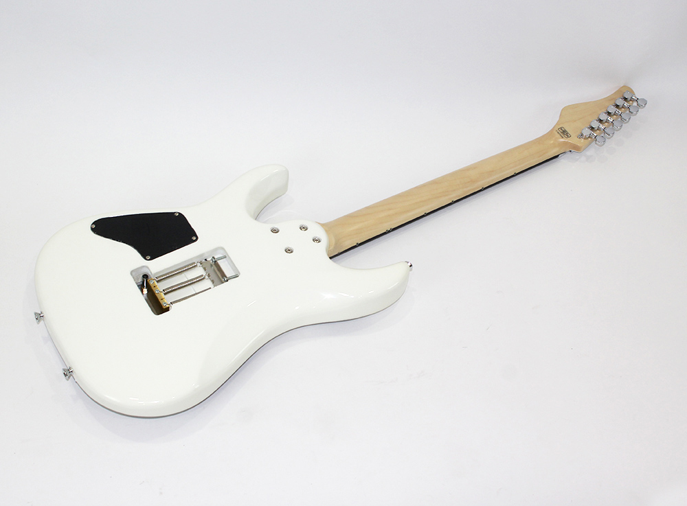 SCHECTER PA-ZK-T6 WHT/Original Dragon Graphic 小林信一モデル