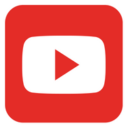 LP LP1449 Woodshop Carbon Fiber String Cajon カホン(ラテン