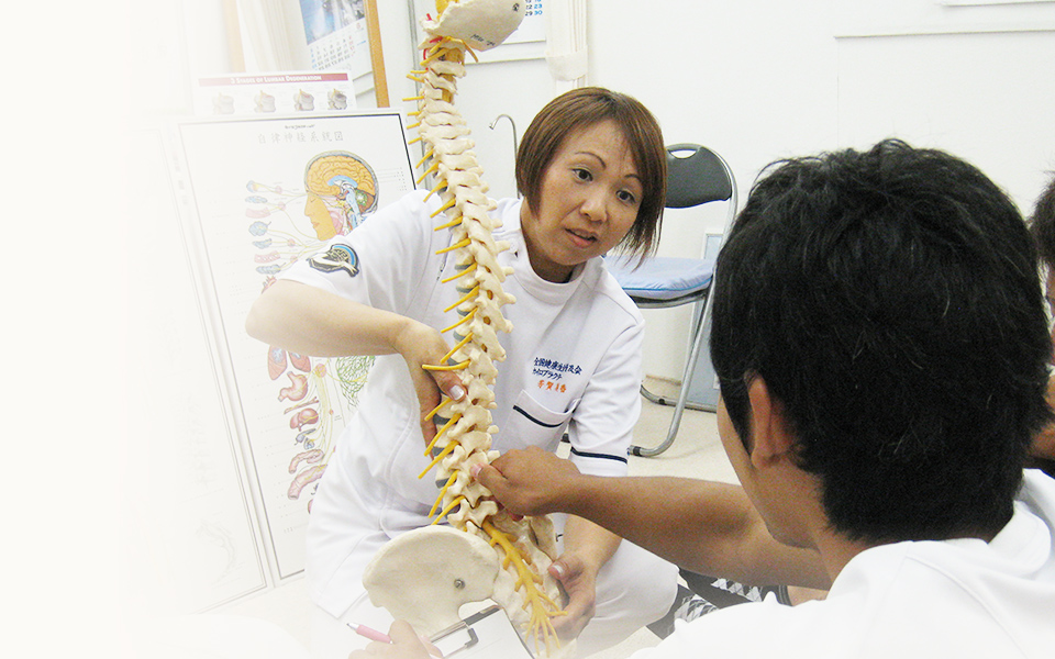 カイロプラクティック美咲について | 愛知県西尾市の整体院｜カイロ