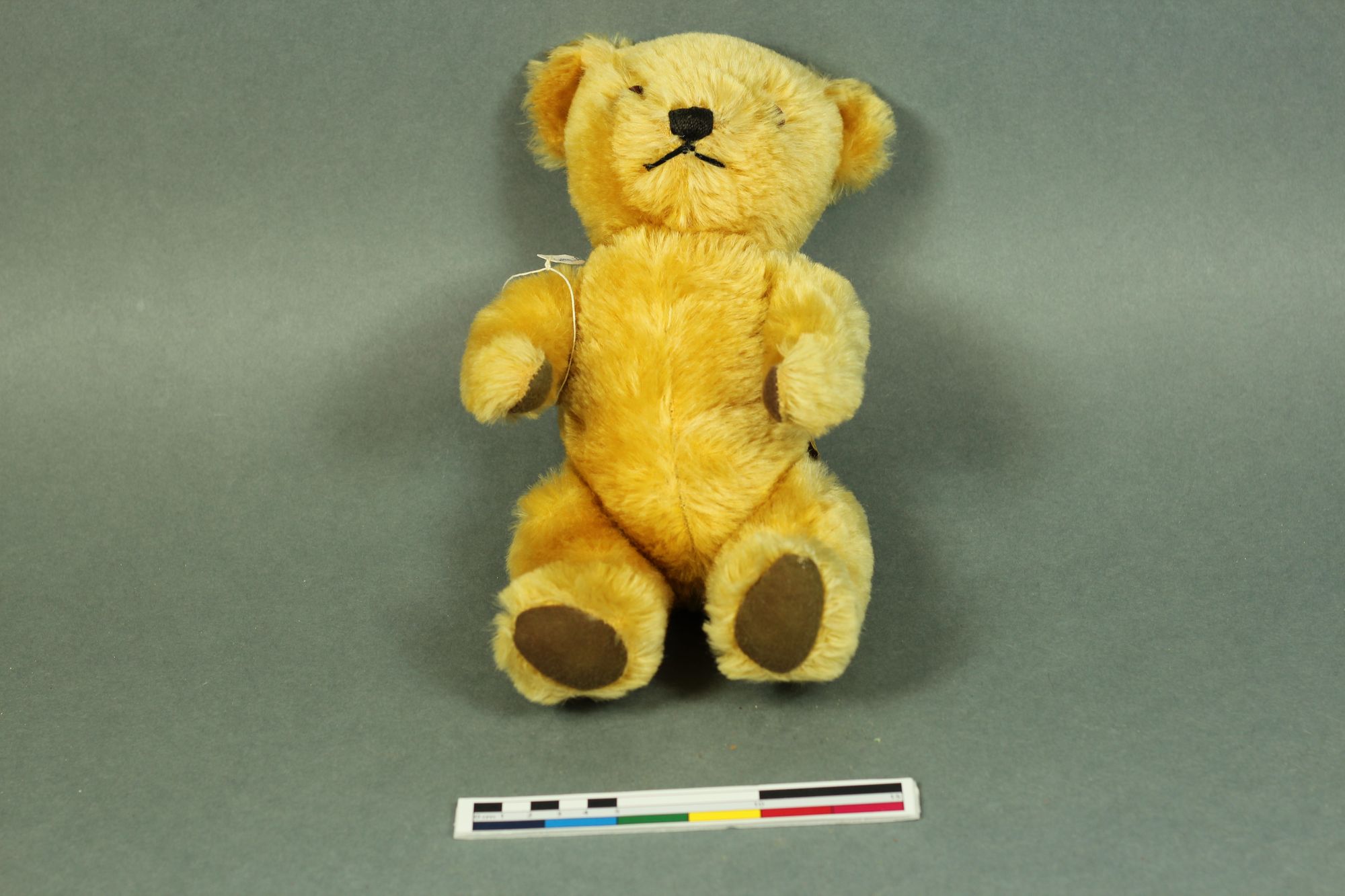 Teddy Bear Focus - Dean's Rag Book Bears