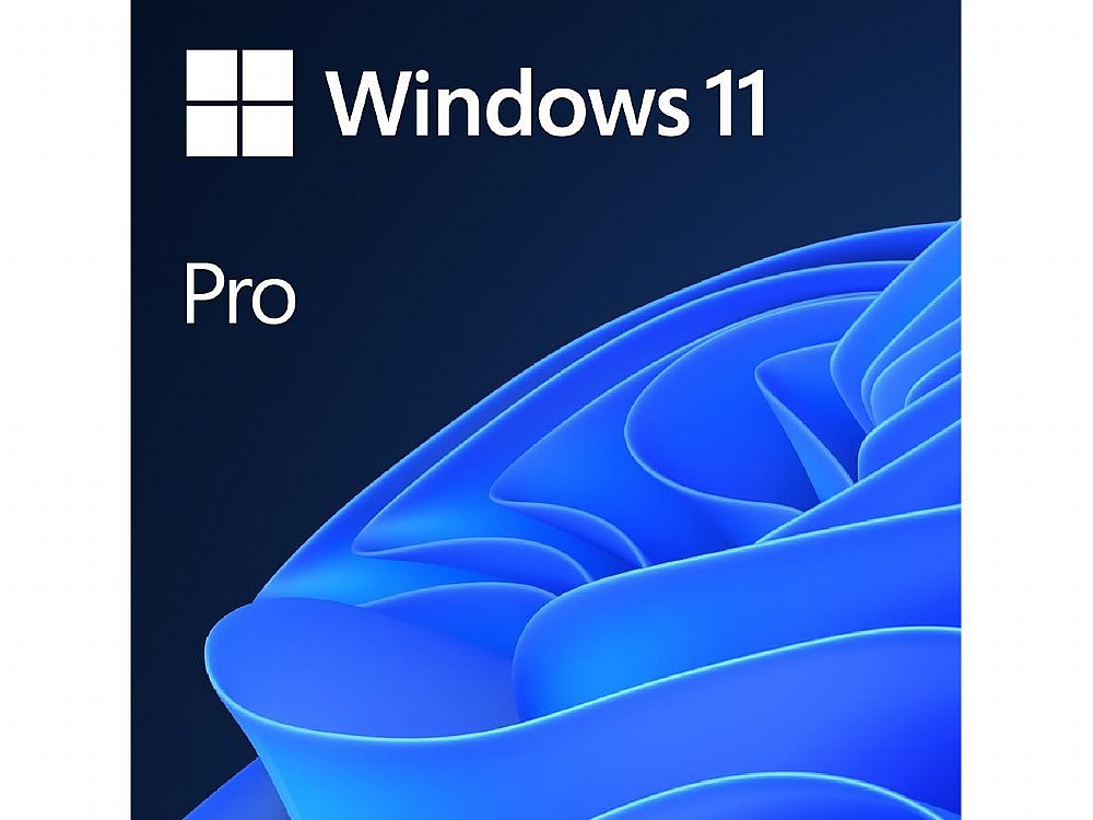 Microsoft Windows 11 Professional 64 Bit DVD | CPU Solutions