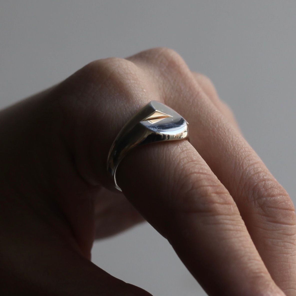 Garden of Eden - 【お取り寄せ注文可能】Signet Break Ring(SILVER