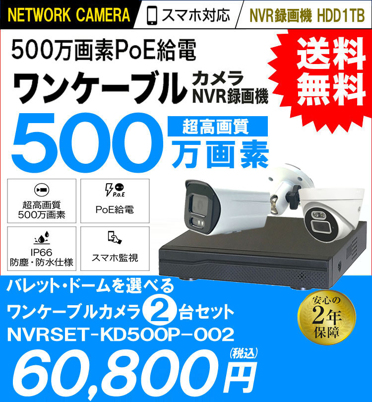 防犯カメラ 2台セット 屋外 録画機能付き AI人体検知 人感センサー
