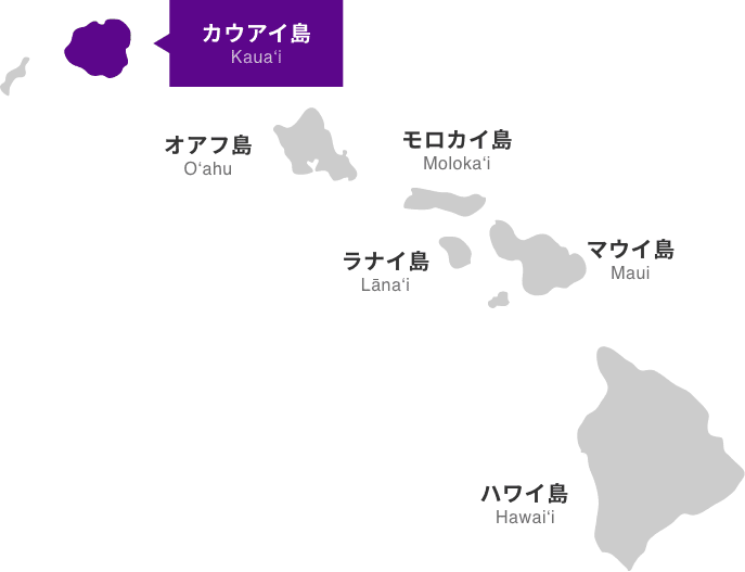 カウアイ島の観光名所とアクティビティを満喫するよくばりプラン 4日間