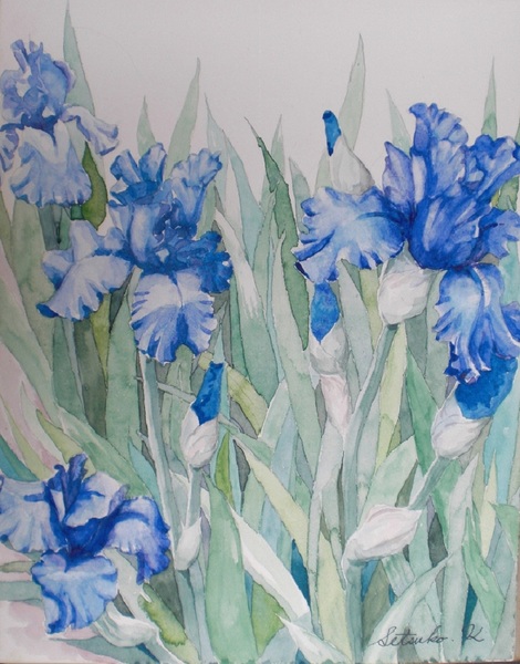 ジャーマンアイリス」 by せつこ｜Artmeter｜暮らしを彩るアートが