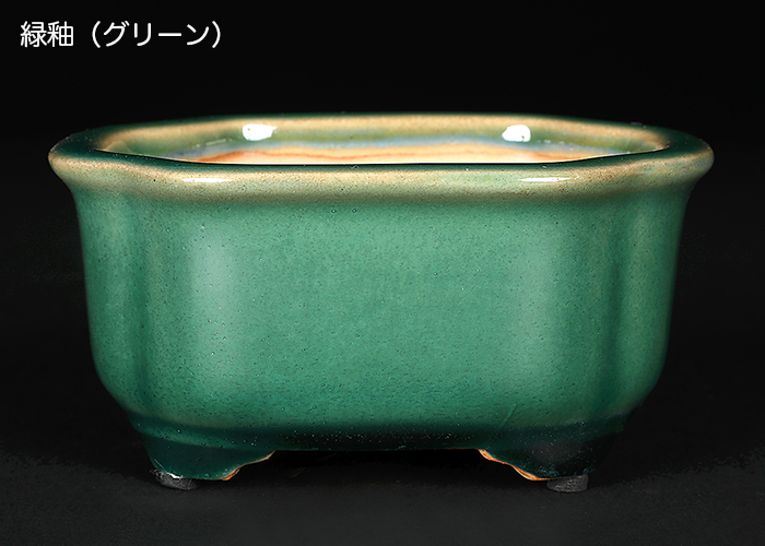 広東隅切長方鉢〔石峰雨竹〕 | 盆栽、盆栽書籍、盆栽鉢の通販│近代出版