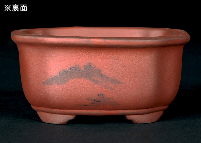 瀬戸焼文山窯朱泥絵付鉢4点セット | 盆栽、盆栽書籍、盆栽鉢の通販