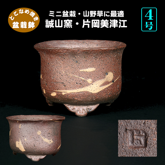 誠山窯 片岡美津江 | 盆栽、盆栽書籍、盆栽鉢の通販│近代出版