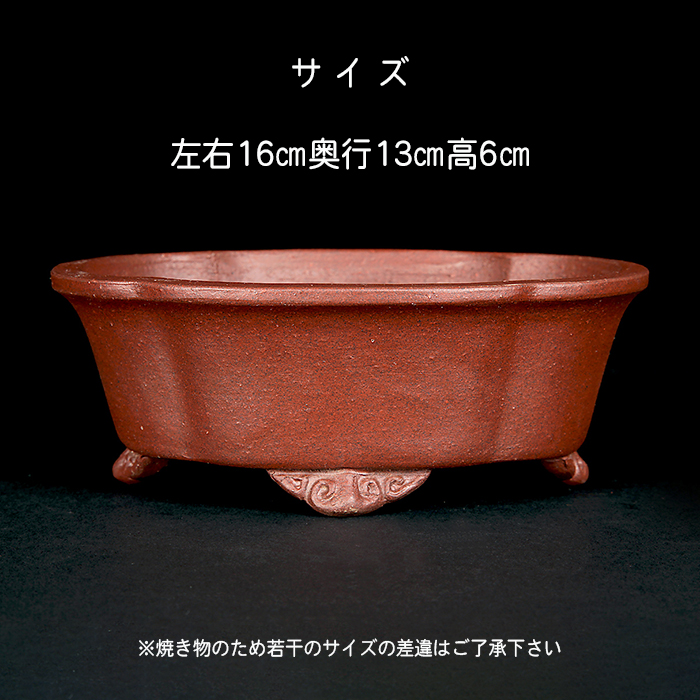 柴勝外縁木瓜式鉢 | 盆栽、盆栽書籍、盆栽鉢の通販│近代出版