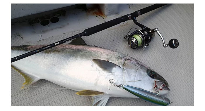 トランスセンデンス モンスターフィン 70S TRANSCENDENCE