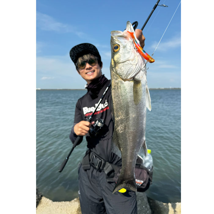 ブルーブルー バルバル85 テクニカルエディション - 【バス・トラウト