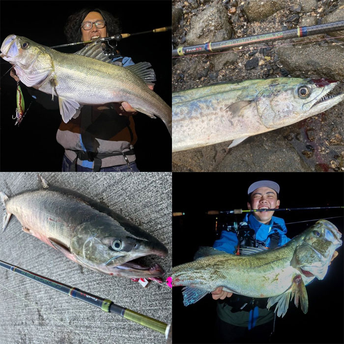 フィンチ カナリア 95M （パックロッド スピニング） - 【バス