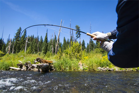 Thomas & Thomas Fly Rods T & T トーマス＆トーマス フライ