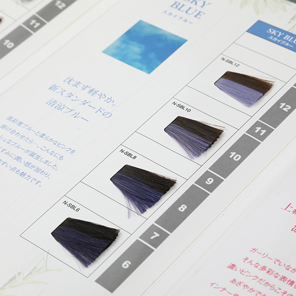 ナプラ ナシードカラーファッションシェード カラーチャート(MGr・SBL