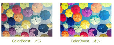 Business DN'A｜製品情報｜H6531BD