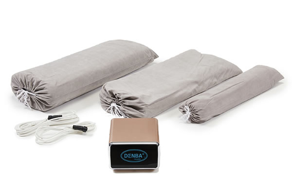 DENBA Health Standard（デンバヘルス スタンダード）ベーシックモデル